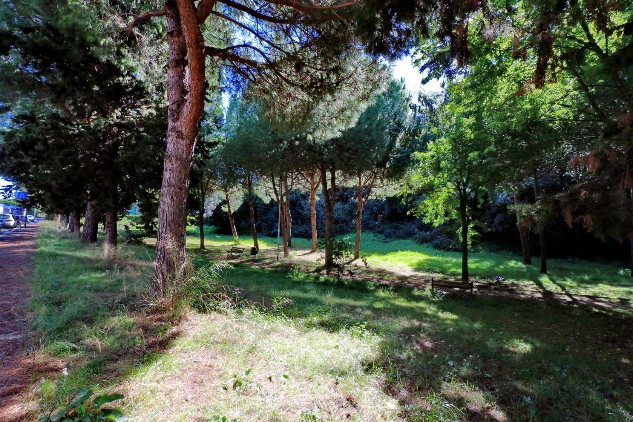 Aurelia Relax Apartment Рим Екстериор снимка
